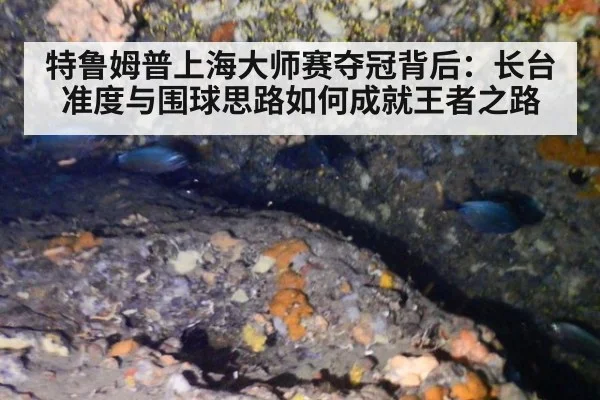 特鲁姆普上海大师赛夺冠背后:长台准度与围球思路如何成就王者之路